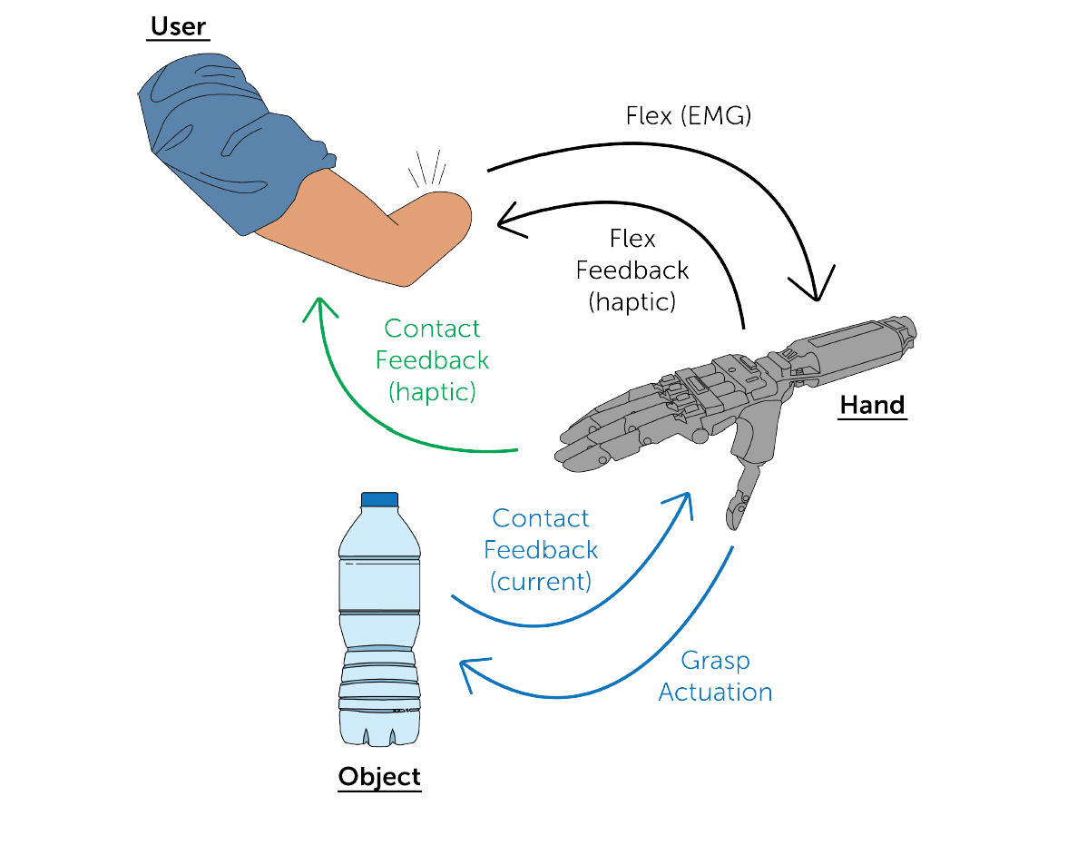 Haptics image 2