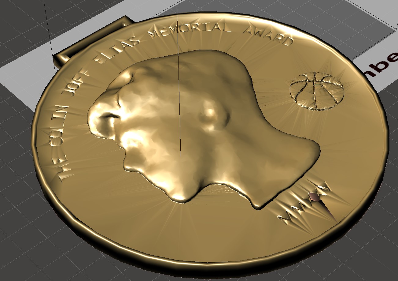 Custom Bronze Medallion